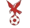 https://img.tgp-ge.com/img/football/team/4802d26df935b78bb2fcdbbff36e8864.png