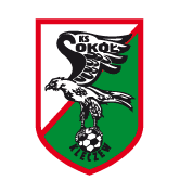 https://img.tgp-ge.com/img/football/team/e6a8908dd206e2ea02d9803c82c60bba.png